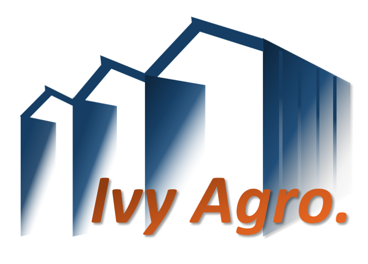 default-logo